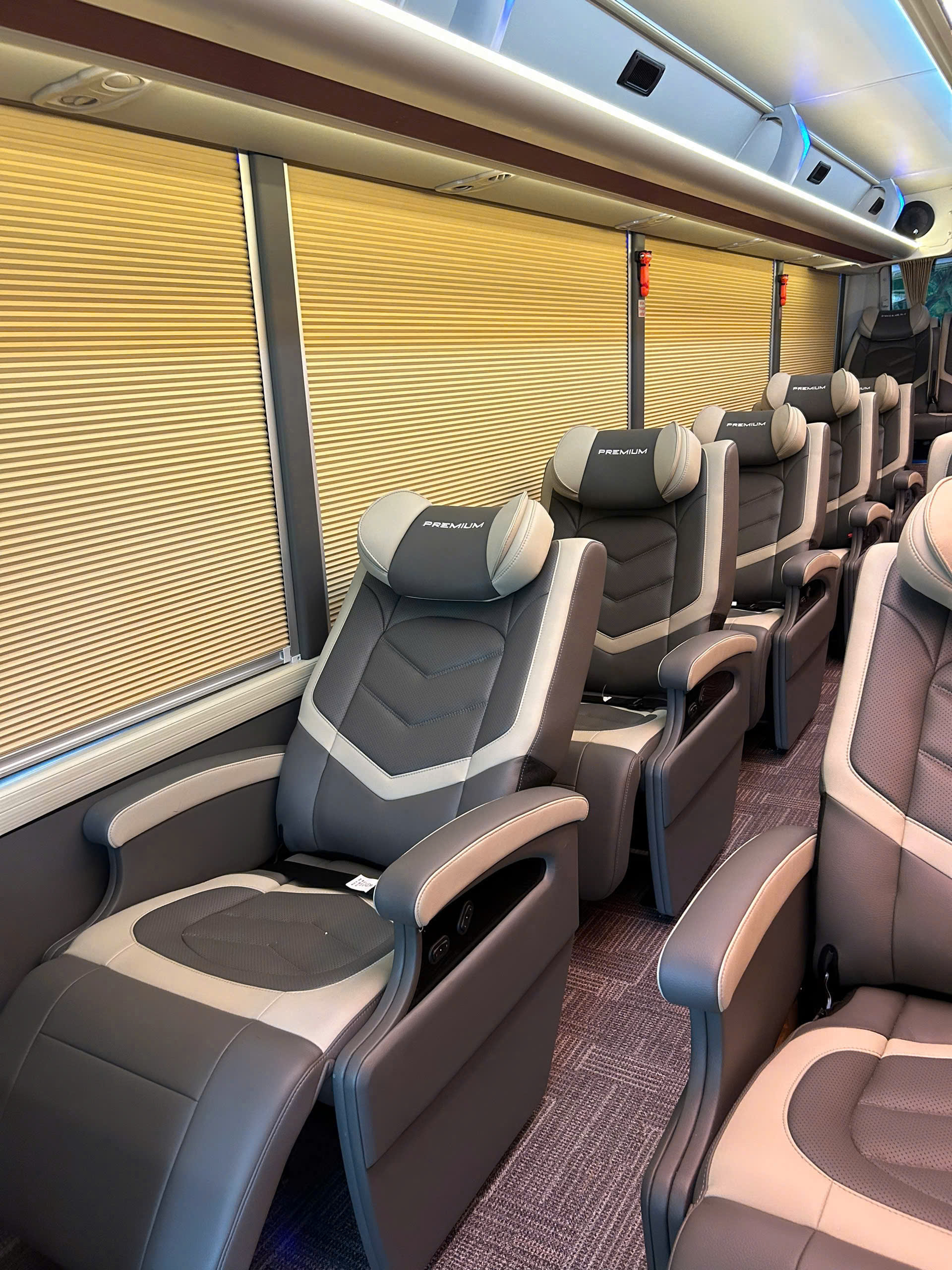 Xe Limousine 19 chỗ nội thất 2